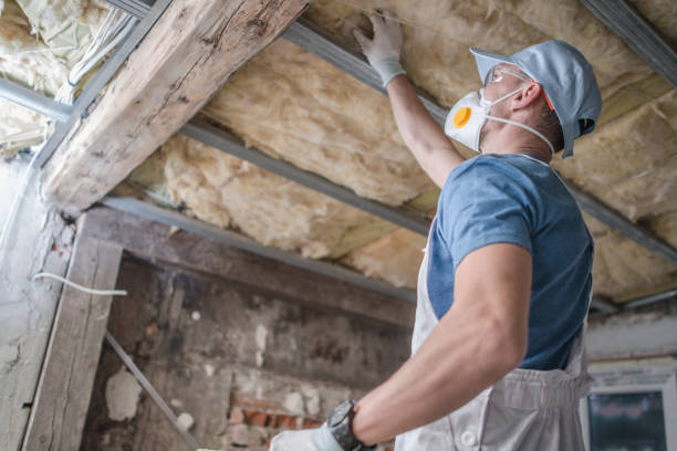 Best Geographic-Specific Insulation Services in USA