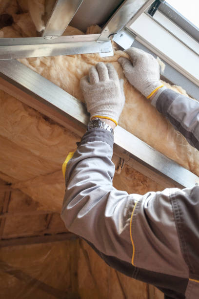 Best Cellulose Insulation in USA